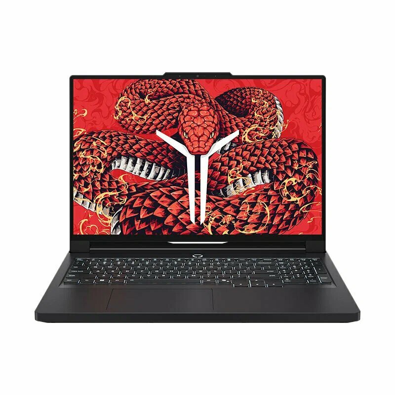 Ноутбук Lenovo Legion 5 Pro R9000P
