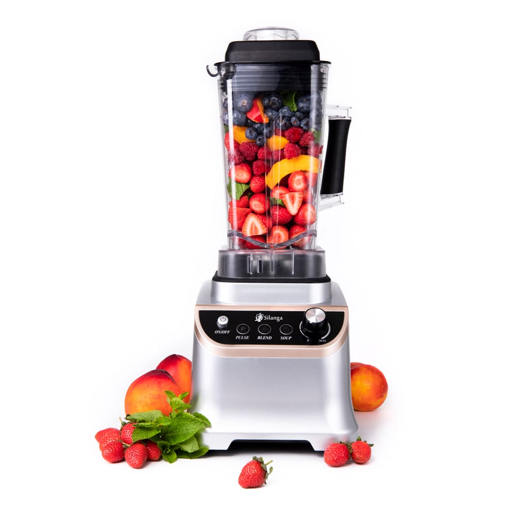 Стационарный блендер Silanga BL1500 PRO